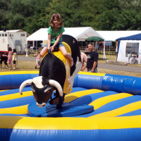 Bullriding